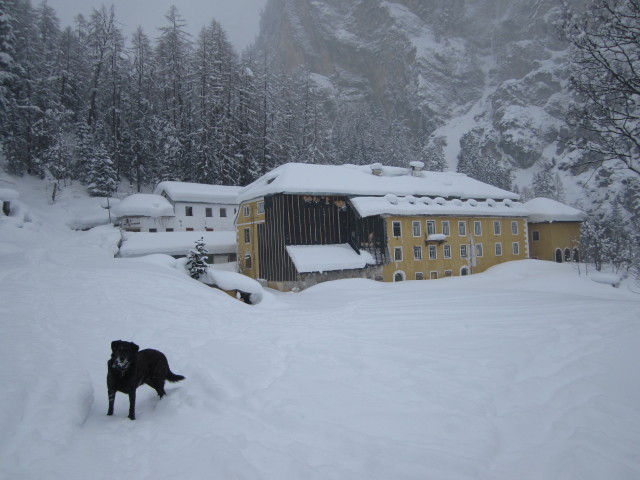 Herrenhäuser, 1.500 m