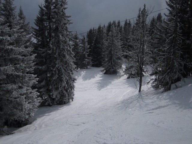 Piste 'Stade FIS'