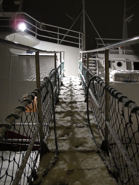 Polargirl im Tromsø Havn (22. März)