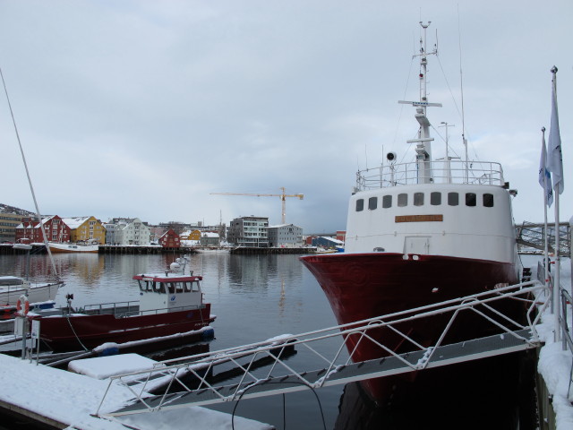 Polargirl im Tromsø Havn (23. März)