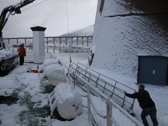 Polargirl im Tromsø Havn (24. März)