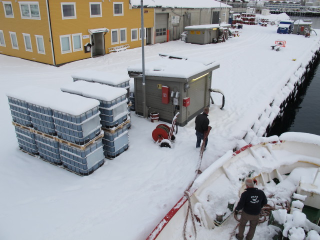 Polargirl im Tromsøysund (24. März)