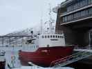 Polargirl im Tromsø Havn (23. März)