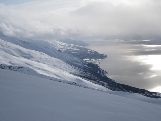 Lyngsfjord