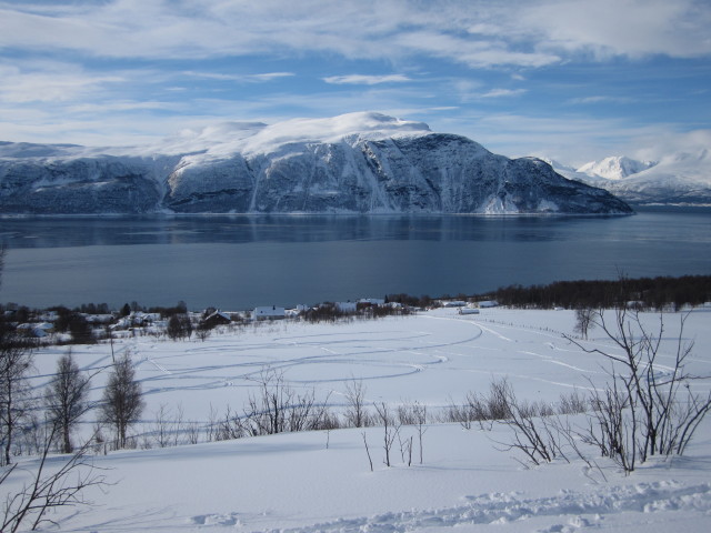 Lyngsfjord