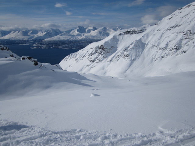 Lyngsfjord