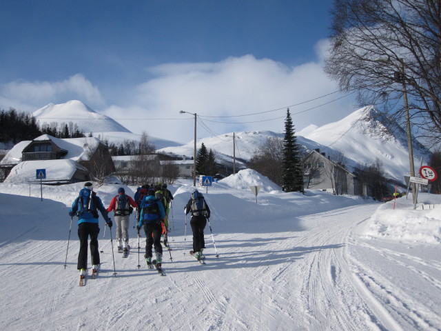 Lyngen