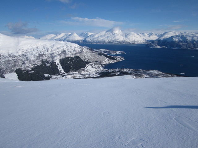 Lyngen