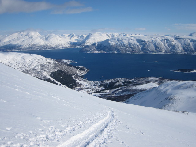 Lyngen