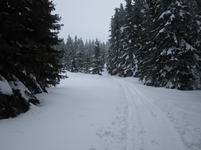 zwischen Karl-Lechner-Haus und Alois-G&uuml;nther-Haus