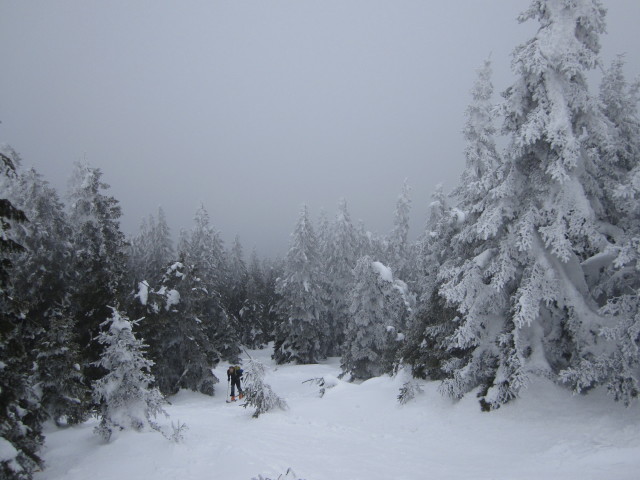 David zwischen Karl-Lechner-Haus und Alois-G&uuml;nther-Haus