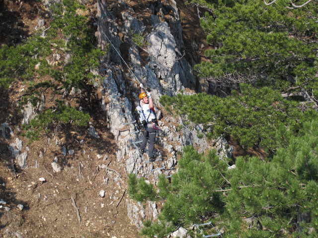 Erich auf der Seilbr&uuml;cke