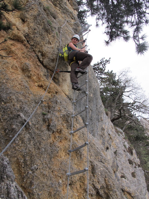 Romana auf der Leiter