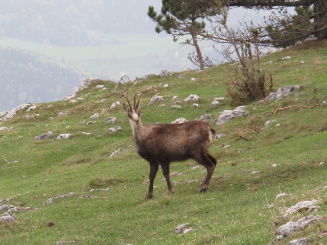 bei Ausstieg des Wagnersteigs
