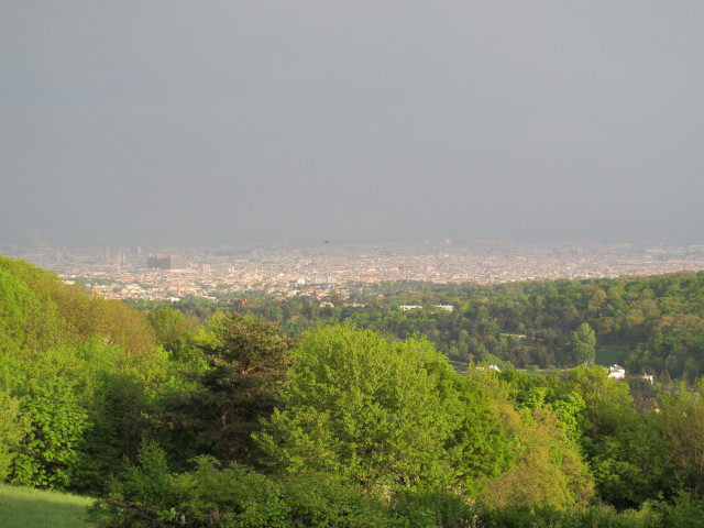 Wien vom Häuserl am Roan aus