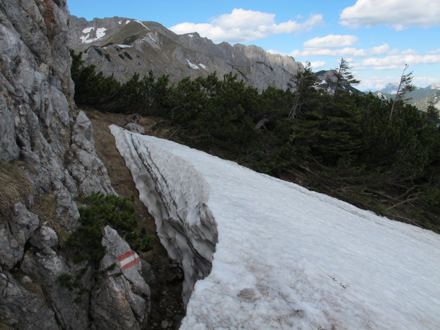 Weg 820 zwischen Hochblaser und Hasenwilzingh&uuml;tte (18. Mai)