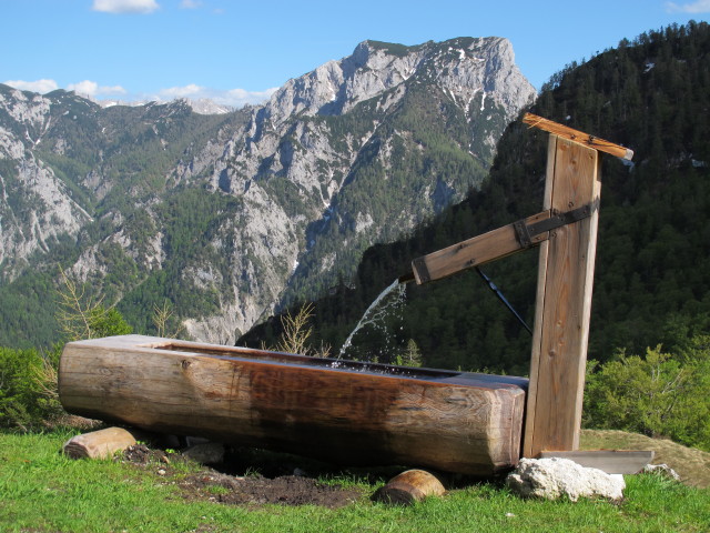 bei der Hasenwilzingh&uuml;tte, 1.346 m (18. Mai)