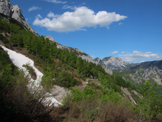 zwischen Hasenwilzinghütte und Weg 828 (18. Mai)