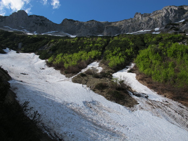 zwischen Hasenwilzinghütte und Weg 828 (18. Mai)