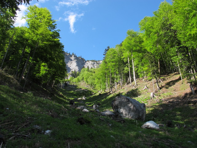 zwischen Hasenwilzinghütte und Weg 828 (18. Mai)