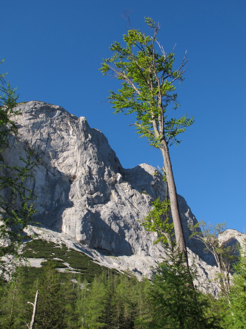 Gro&szlig;er Kollmannstock (18. Mai)
