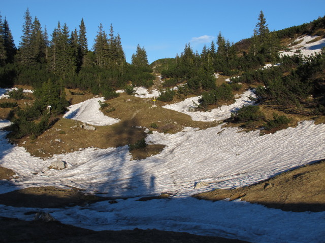 Weg 801 zwischen Fobisalm und Fobist&ouml;rl (18. Mai)