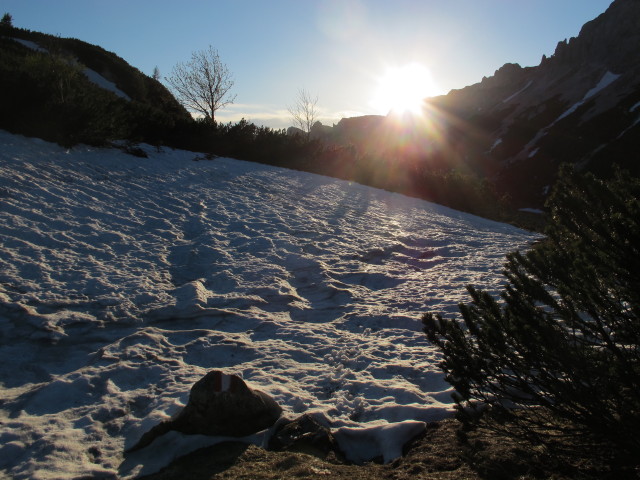 Weg 801 zwischen Brandwiese und Androtht&ouml;rl  (18. Mai)