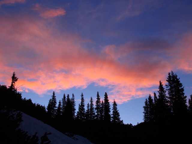 Weg 829 zwischen Sonnschienh&uuml;tte und Sonnschienbr&uuml;ndl (19. Mai)