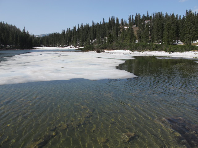 Sackwiesensee, 1.414 m (19. Mai)