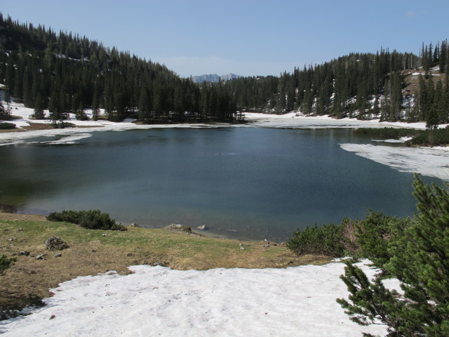 Sackwiesensee, 1.414 m (19. Mai)