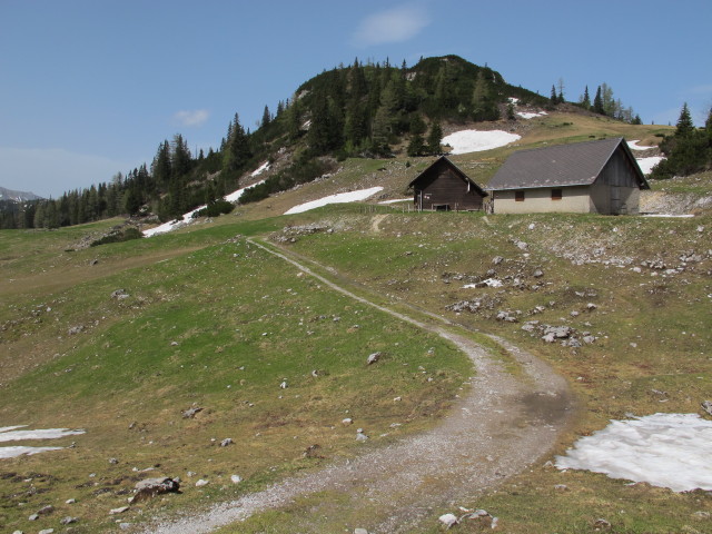 Sackwiesenalm (19. Mai)