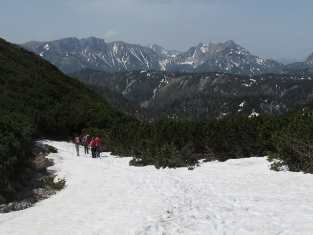 Weg 801/805 im H&auml;useltrog (19. Mai)