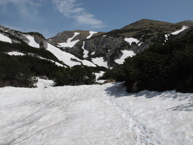 Weg 801/805 zwischen H&auml;useltrog und Hirschgrube (19. Mai)