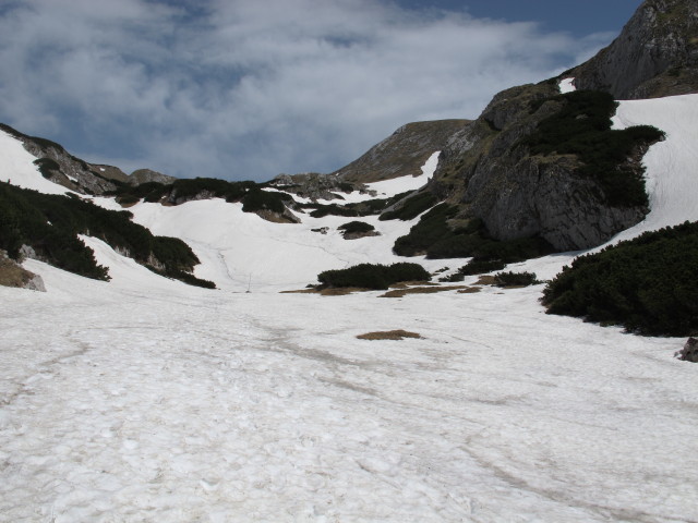 Weg 801/805 zwischen H&auml;useltrog und Hirschgrube (19. Mai)