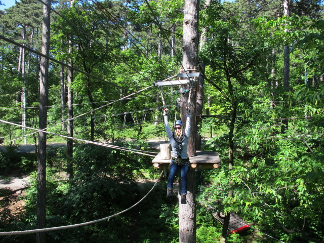 Diana in den Erwachsenenparcours