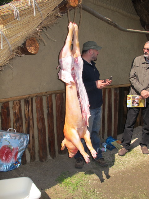 Tierzerlegung beim Steinzeitfest im Urgeschichtemuseum Asparn an der Zaya