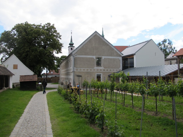 Carmen am Freigelände im Ausstellungsteil 'Wein' in Poysdorf