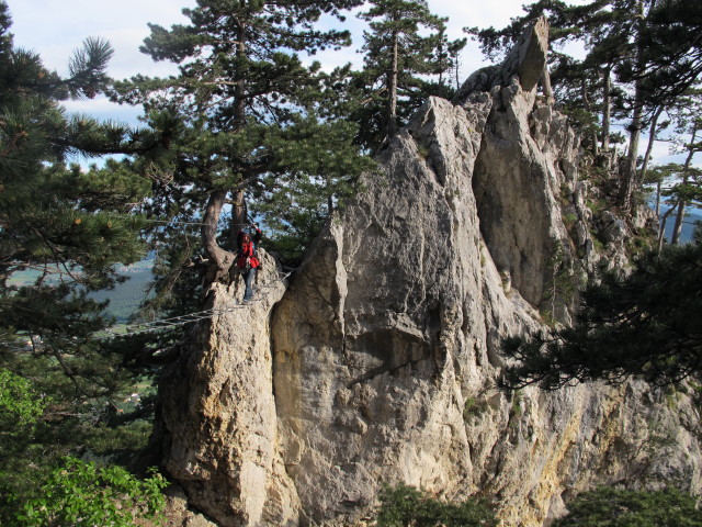 Diana auf der Seilbr&uuml;cke