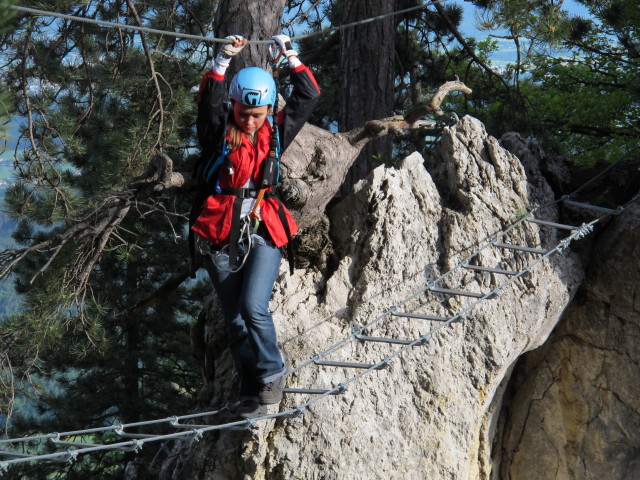 Diana auf der Seilbr&uuml;cke
