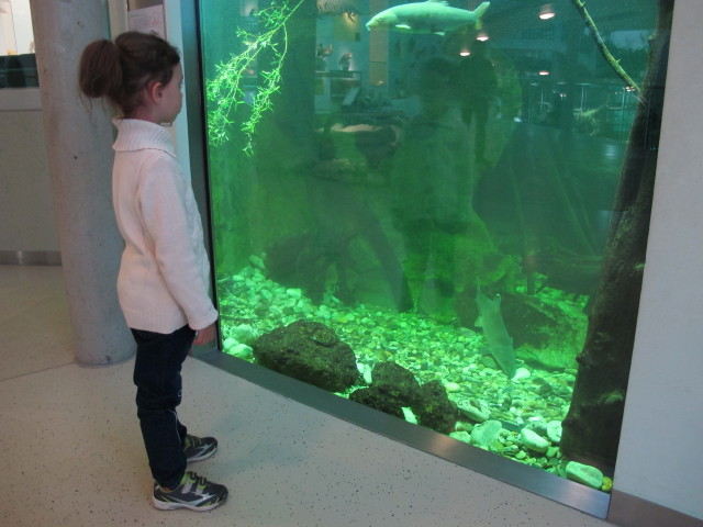 Daria in der Dauerausstellung 'Natur/Zoo'