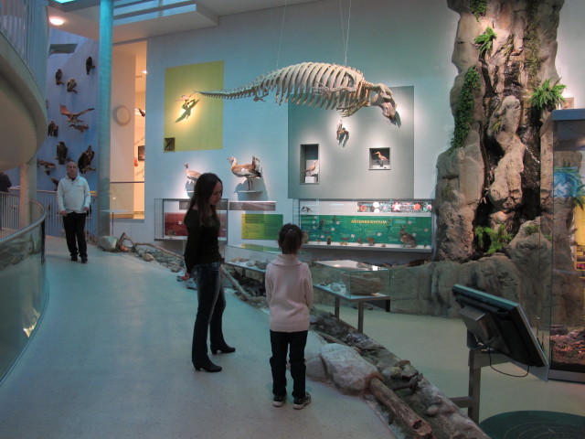 Walter, Diana und Daria in der Dauerausstellung 'Natur/Zoo'