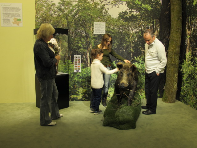 ?, Daria, Diana und Walter in der Dauerausstellung 'Natur/Zoo'