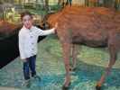 Daria in der Dauerausstellung 'Natur/Zoo'