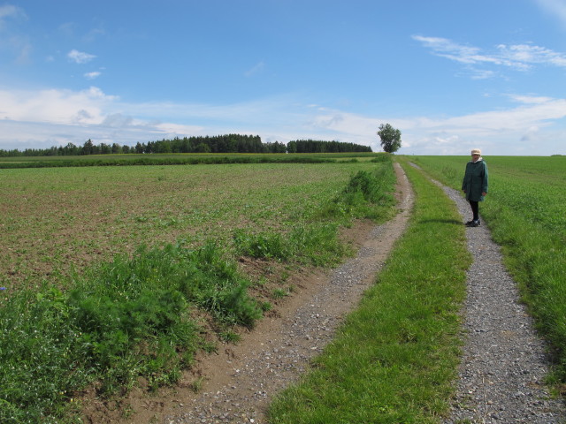 Oma zwischen Geras und Hufnagelberg