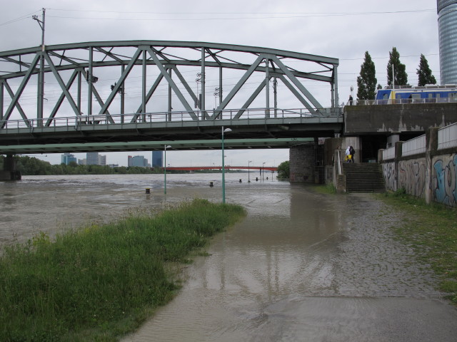 Treppelweg bei der Nordbahnbr&uuml;cke (4. Juni)