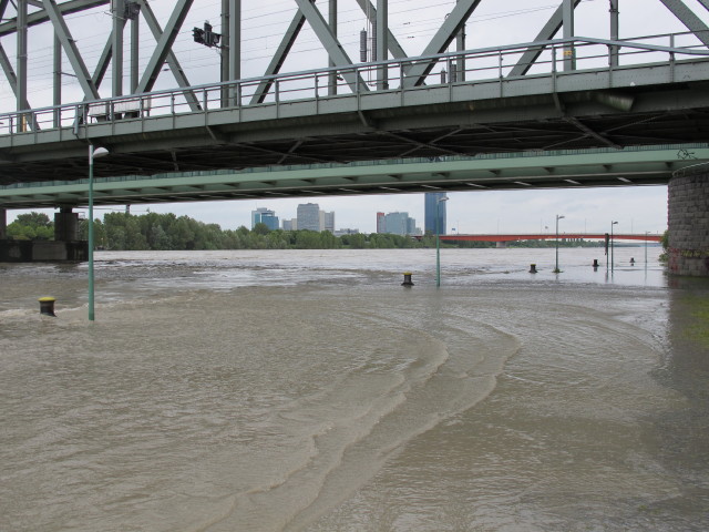 Treppelweg bei der Nordbahnbr&uuml;cke (4. Juni)