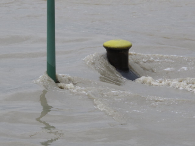 Treppelweg zwischen Floridsdorfer Br&uuml;cke und Nordbahnbr&uuml;cke (5. Juni)