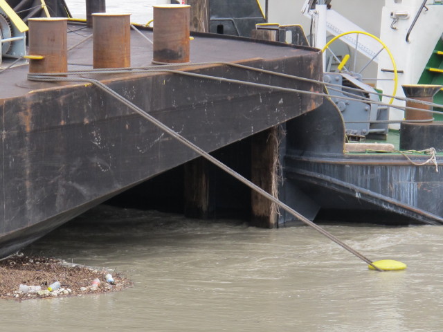 Treppelweg zwischen Floridsdorfer Brücke und Nordbahnbrücke (5. Juni)