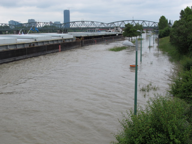 Treppelweg zwischen Floridsdorfer Br&uuml;cke und Nordbahnbr&uuml;cke (5. Juni)