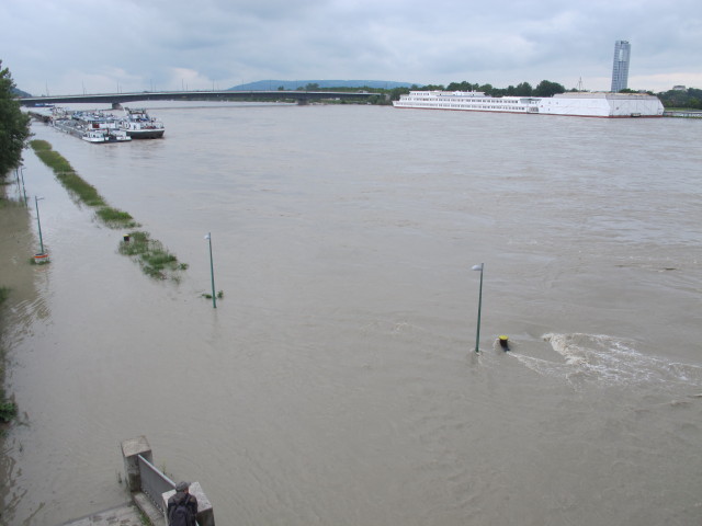 Treppelweg zwischen Floridsdorfer Br&uuml;cke und Nordbahnbr&uuml;cke (5. Juni)